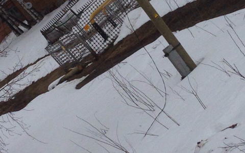 В Сыктывкаре упавший снег перебил провода и оставил дом без света