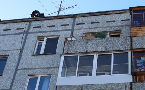 Появились фото квартиры, в которой четыре месяца прятали труп пропавшего сыктывкарца