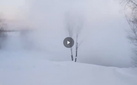 В Сыктывкаре возле Кировского парка витал густой вонючий туман (видео)