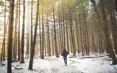 На выходных погода в Сыктывкаре сильно изменится