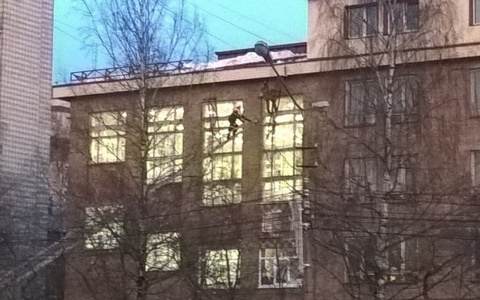 В Сыктывкаре с крыши университета сорвался мужчина