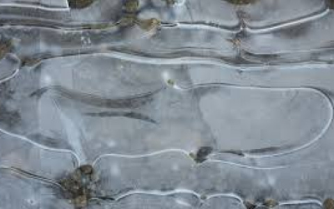 Погода на 16 апреля в Сыктывкаре: ночью - крепкий минус, днем - верный плюс