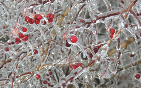 Погода в Сыктывкаре 17 апреля: от -7 до +7 по Цельсию