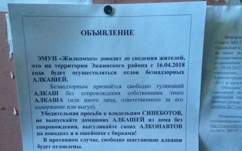 В Сыктывкаре развесили объявления об отлове алкашей (фото)