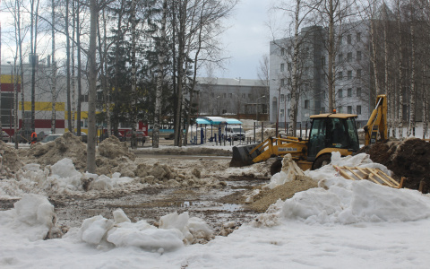 Сыктывкарцы недоумевают, зачем снова перекопали благоустроенный Мичуринский парк