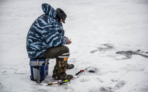 В Сыктывкаре ищут мужчину, который ушел на рыбалку и не вернулся