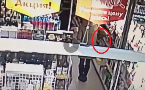 В Сыктывкаре поймали пару воров, которые долгое время обкрадывали «Пятерочку» (видео)