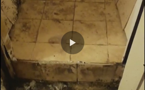 «В этом дерьме мы жили две недели»: квартиру сыктывкарки топило водой из канализации (видео)