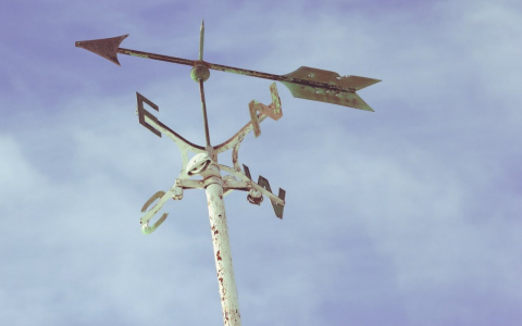 В эти выходные погода сильно огорчит сыктывкарцев