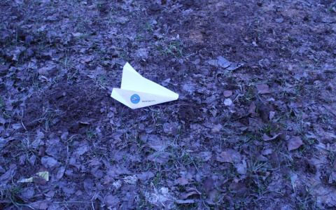 «Улетаю на нем из России»: сыктывкарцы запустили самолеты в поддержку Telegram (фото)