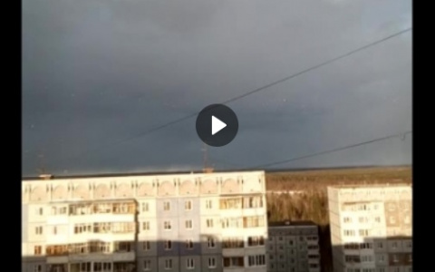 Жителей Сыктывкара удивила огромная стая необычных белых птиц (видео)