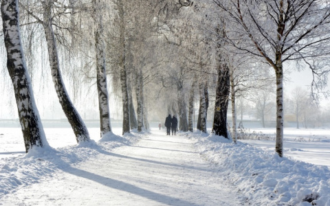 Погода в Сыктывкаре на 23 апреля: зима возвращается