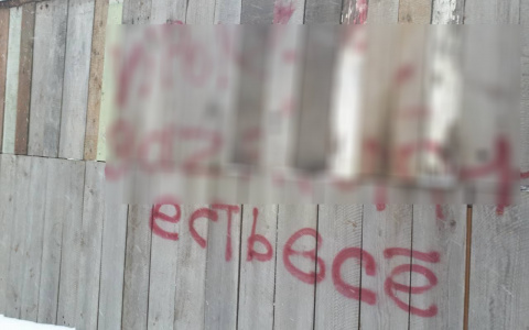 Сыктывкарка объявила охоту на торговцев наркотиками (фото)