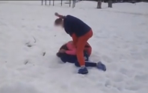 В школе Сыктывкара прокомментировали жестокую драку учениц