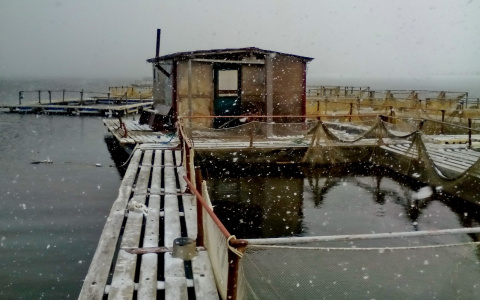 В сети опубликовали колоритные фото заброшенного форелевого хозяйства в Коми