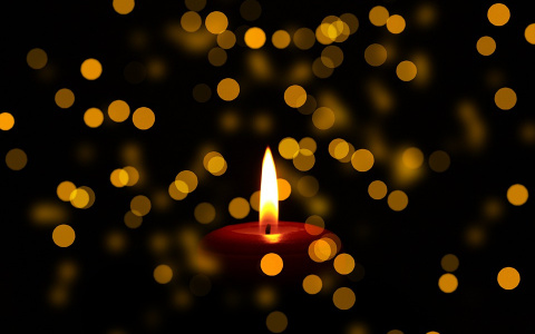 Подруга погибшей студентки сыктывкарского медколледжа заявила, что это суицид