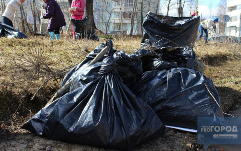 В апреле субботника в Сыктывкаре не будет