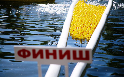 Tele2 приглашает жителей Республики Коми принять участие в благотворительном заплыве резиновых утят