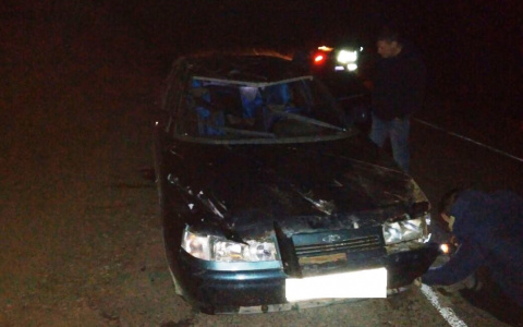 В Коми на темной дороге в кювет вылетела «десятка» с автоледи за рулем (фото)