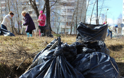 Погода в Сыктывкаре 28 апреля: в самый раз для субботника