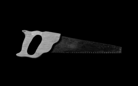 Пила по-коми: в Сыктывкаре осудили мужчину, который искромсал знакомого ножовкой