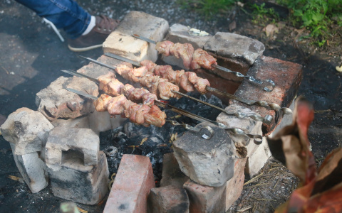 Как отдохнуть за городом без риска для жизни: советы Роспотребнадзора Коми