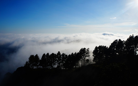 Погода в Сыктывкаре на 30 апреля: можно и на пикник