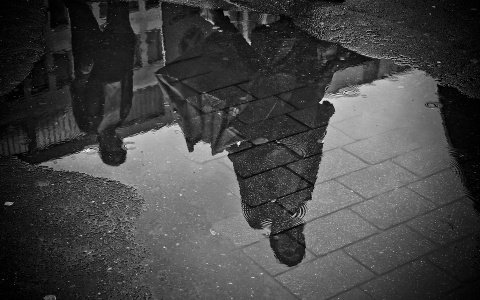 Погода в Сыктывкаре на 3 мая: теплые выходные закончились