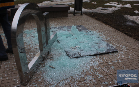 Стало известно, кто разгромил памятник рублю в Сыктывкаре