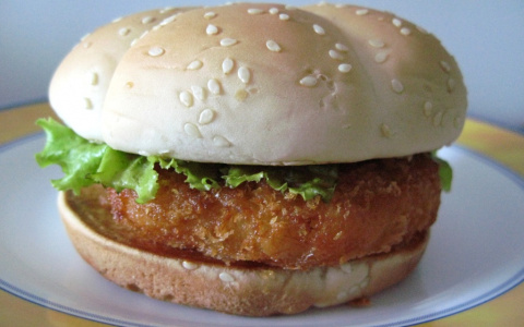 В Сыктывкаре появится сеть фастфуда KFC?