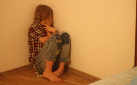 Житель Коми насиловал маленькую девочку и снимал процесс на камеру