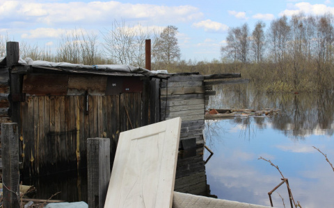 Под Сыктывкаром река поднялась на 34 сантиметра: жители готовятся к потопу