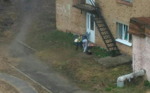 Сыктывкарцы устроили пикник с шашлыками прямо под окнами жилого дома (фото)