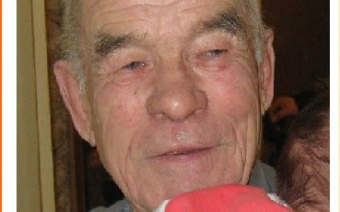 Под Сыктывкаром пропал 80-летний мужчина
