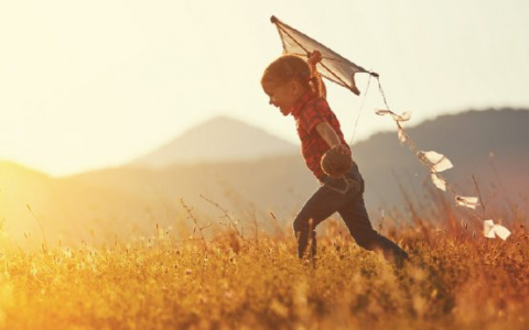 В Сыктывкаре соберут социальных предпринимателей и тех, кто мечтает ими стать