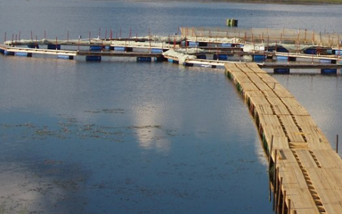 Житель Коми утонул, когда кормил рыб на форелевом хозяйстве