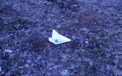 «Свободу Интернету!»: сыктывкарцы выйдут на Стефановскую с протестной акцией