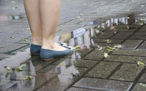 Стало известно, какая погода будет в Сыктывкаре с 14 мая