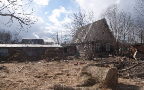 Следователи рассказали об останках девушки, которые нашли в коми деревне