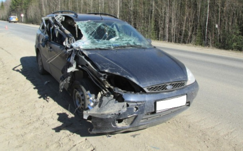 На трассе в Коми мусоровоз распорол бок «Форду» (фото)