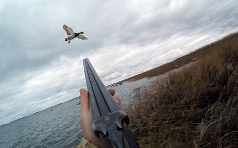 В Коми мужчина устроил охоту в черте города прямо у Вечного огня