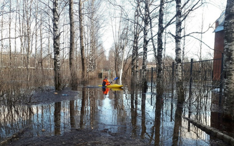 Жители Коми плавали по центру родного города на лодках