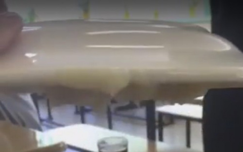 Фокусы с пюре: ученики сыктывкарской школы показали, чем их кормят (видео)