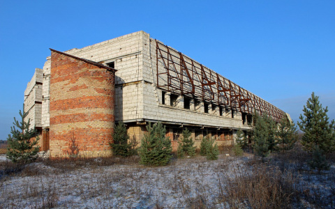Под Сыктывкаром поймали преступников, которые обворовали аэропорт в Соколовке