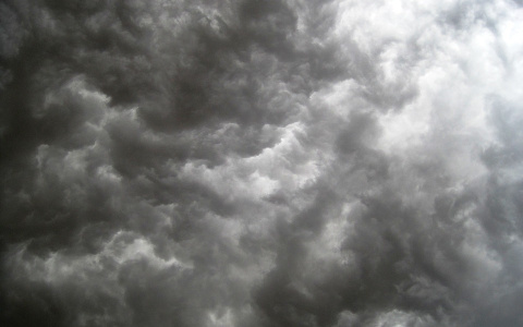 Погода в Сыктывкаре 20 мая: на улице делать нечего