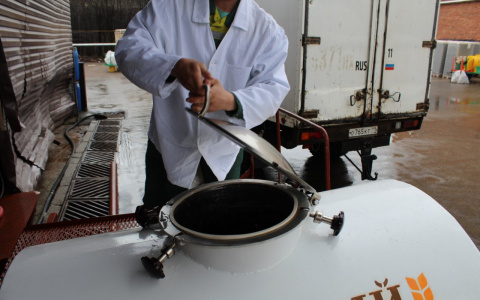 Что сыктывкарцы пьют из квасных бочек?