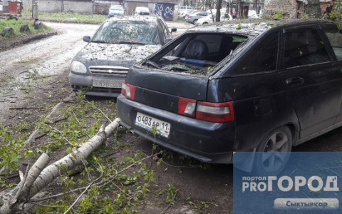 В Сыктывкаре во время грозы тополь упал и разбил два автомобиля (фото)