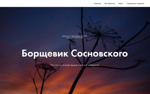 «Жгучая армия»: ученые из Коми посвятили сайт борьбе с борщевиком