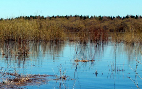 За полтора месяца на реках и озерах Коми утонуло более десяти человек