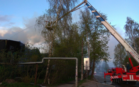 Что будет со старинной школой в Сыктывкаре, которая горела дважды за сутки?